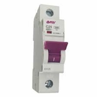 TERMICA 1 X 25 A "BAW"